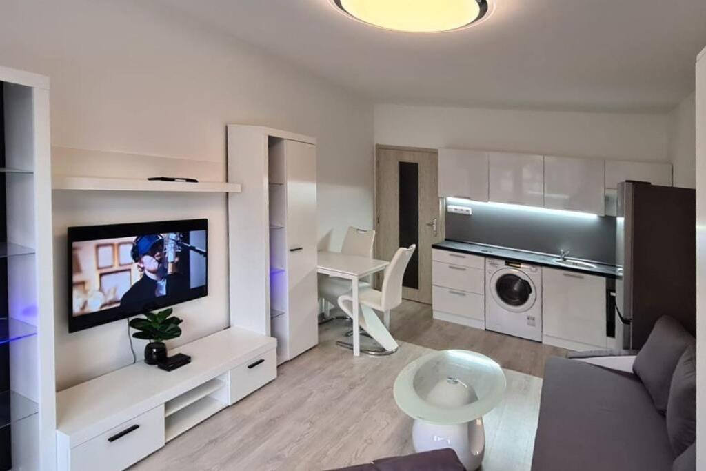 Utulny Apartman V Centru, S Krasnym Vyhledem Decin Zewnętrze zdjęcie