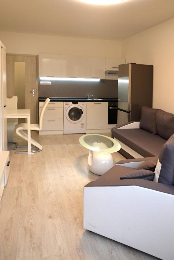 Utulny Apartman V Centru, S Krasnym Vyhledem Decin Zewnętrze zdjęcie