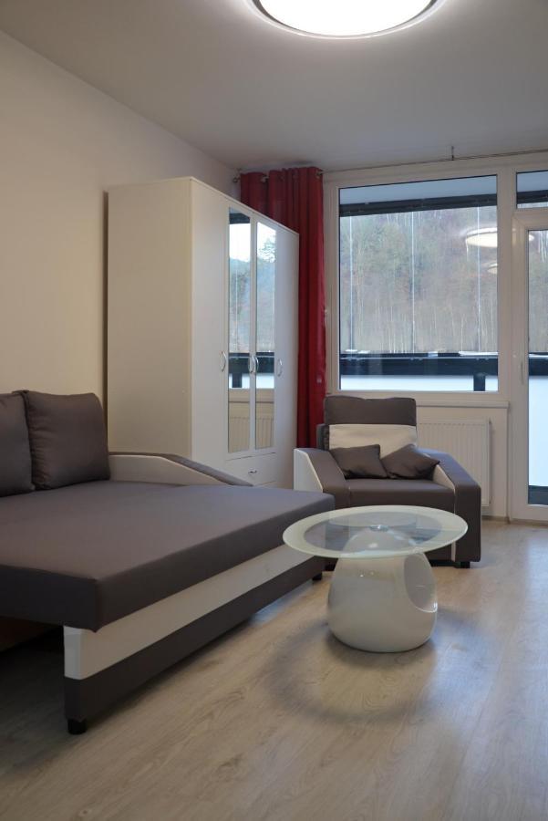 Utulny Apartman V Centru, S Krasnym Vyhledem Decin Zewnętrze zdjęcie