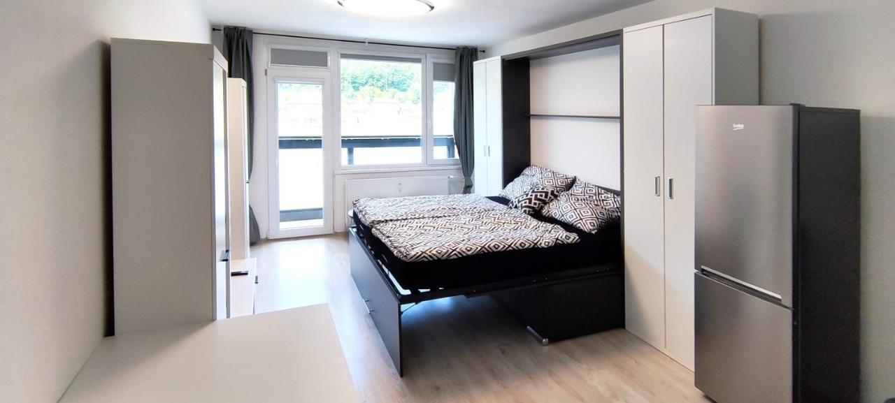 Utulny Apartman V Centru, S Krasnym Vyhledem Decin Zewnętrze zdjęcie