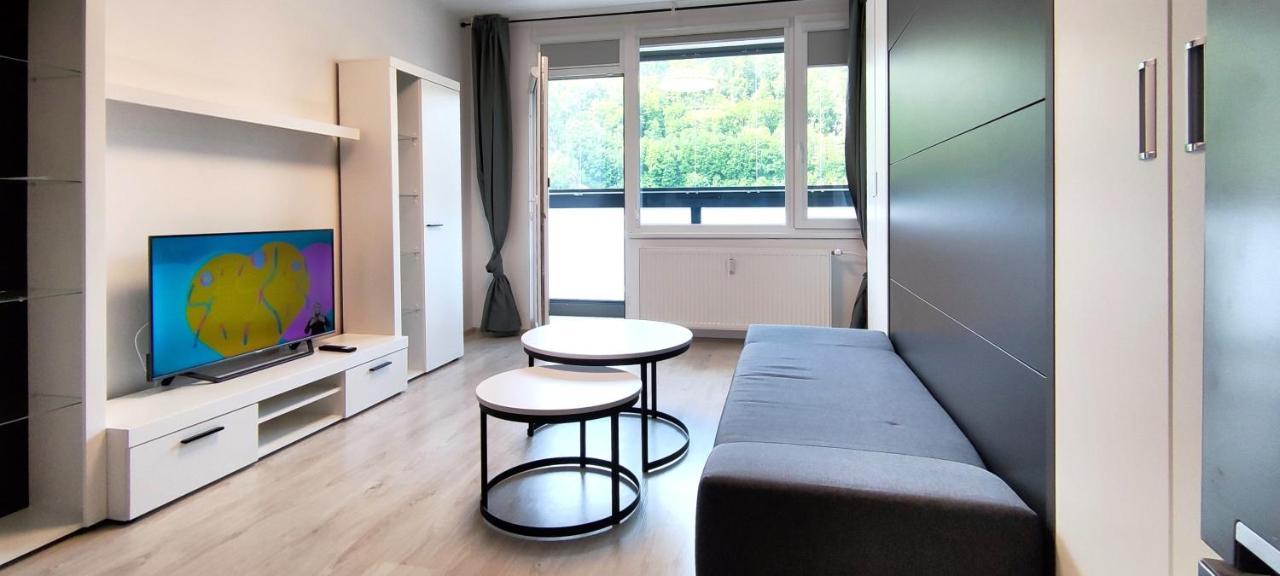 Utulny Apartman V Centru, S Krasnym Vyhledem Decin Zewnętrze zdjęcie
