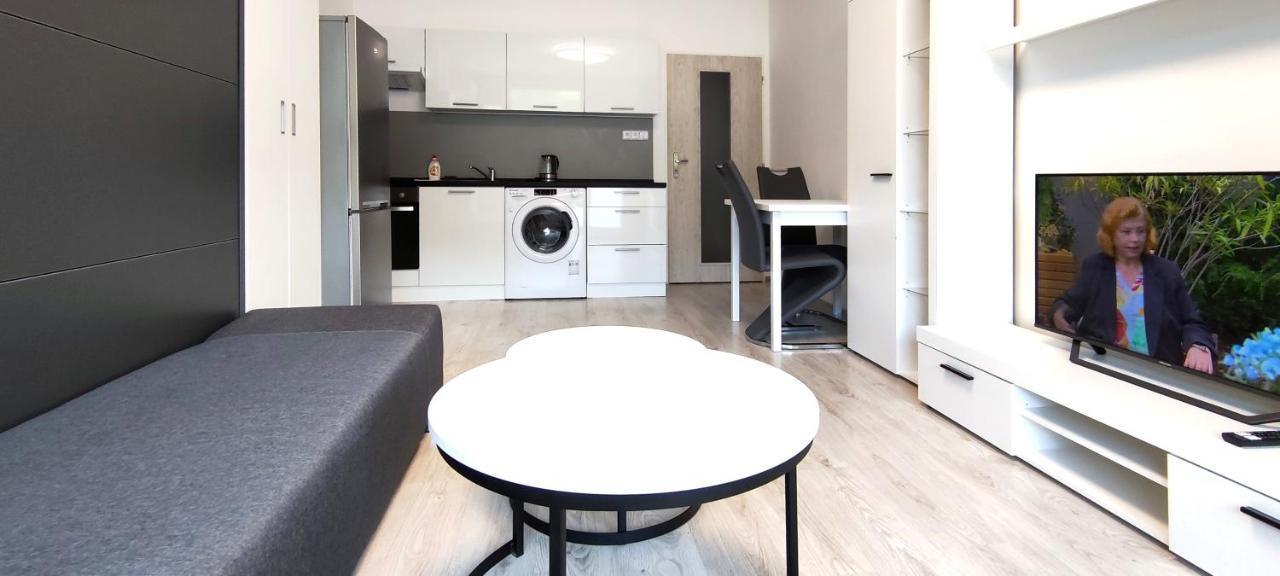 Utulny Apartman V Centru, S Krasnym Vyhledem Decin Zewnętrze zdjęcie