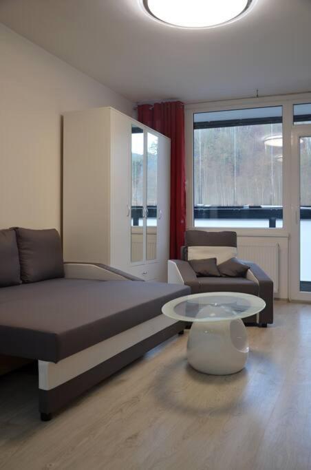 Utulny Apartman V Centru, S Krasnym Vyhledem Decin Zewnętrze zdjęcie
