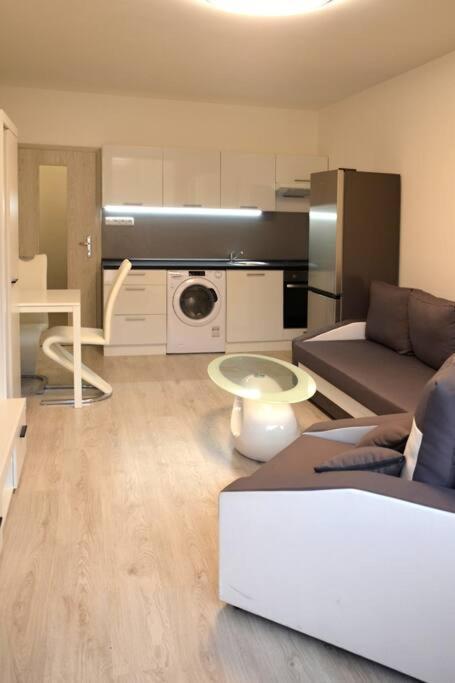 Utulny Apartman V Centru, S Krasnym Vyhledem Decin Zewnętrze zdjęcie